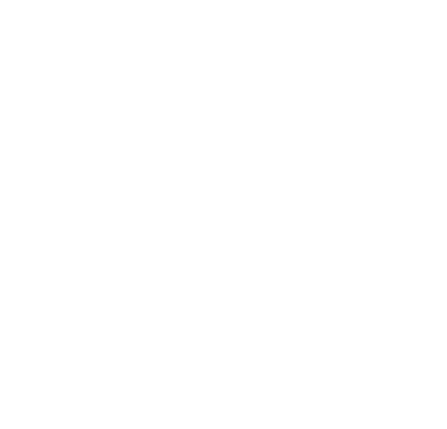 PI Group